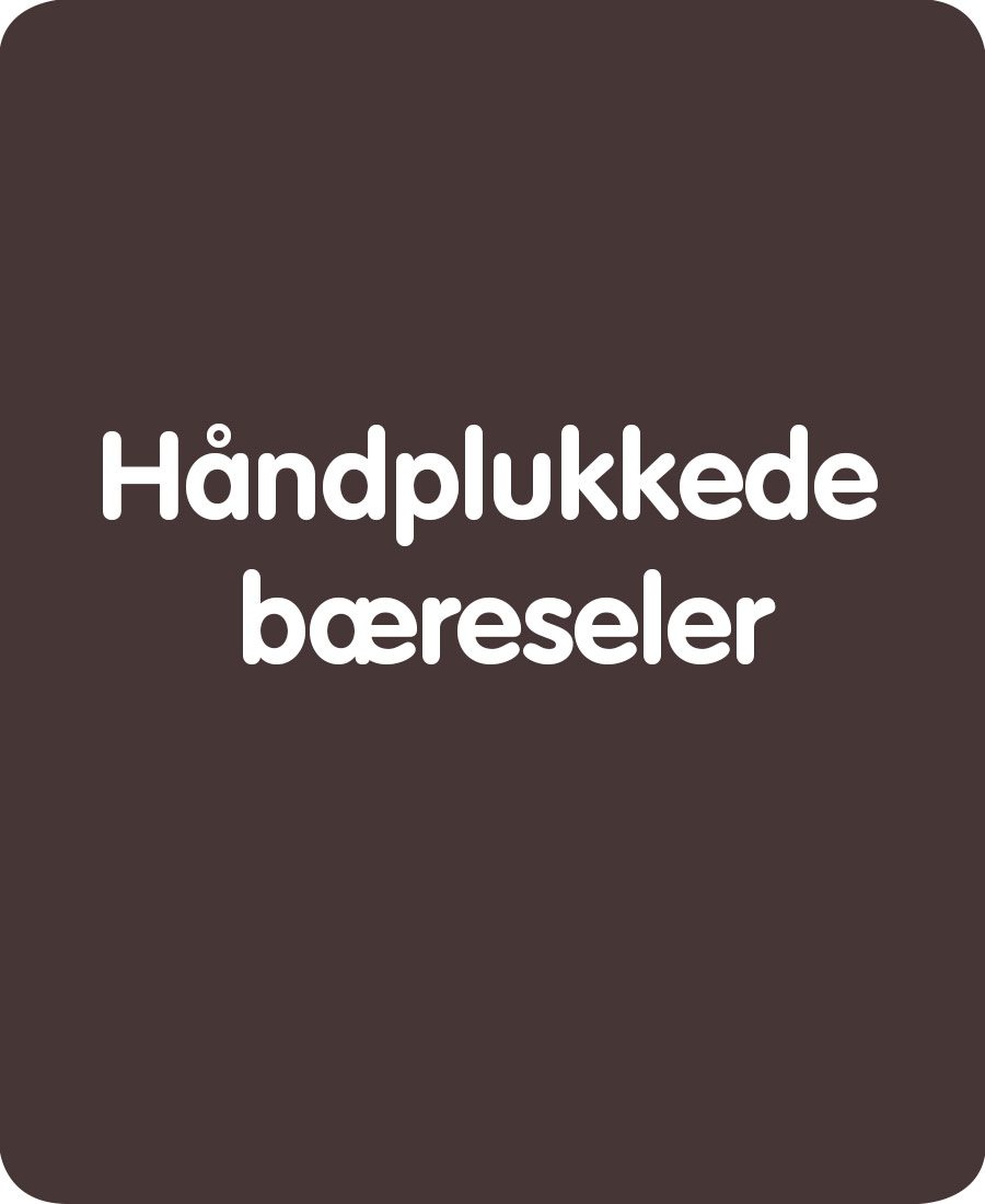 Bæreseler