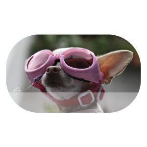 Kule klister til oval matboks - Image 3