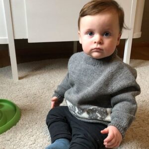 Bluum strikk - Dinosaur-genseren i Pure Eco Baby Wool