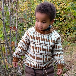 Strikkegenser Lerke til barn - garnpakke i Bluum Pure Eco Baby Wool