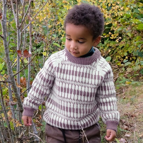Strikkegenser Lerke til barn - garnpakke i Bluum Pure Eco Baby Wool