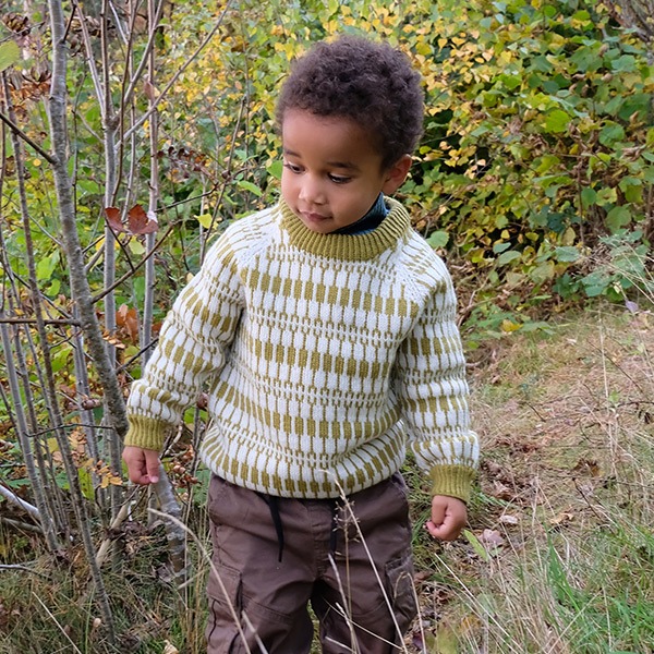 Strikkegenser Lerke til barn - garnpakke i Bluum Pure Eco Baby Wool