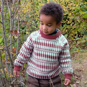 Strikkegenser Lerke m/lue til barn - garnpakke i Bluum Pure Eco Baby Wool