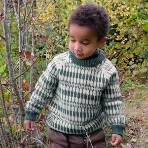 Strikkegenser Lerke til barn - garnpakke i Bluum Pure Eco Baby Wool