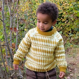 Strikkegenser Lerke til barn - garnpakke i Bluum Pure Eco Baby Wool