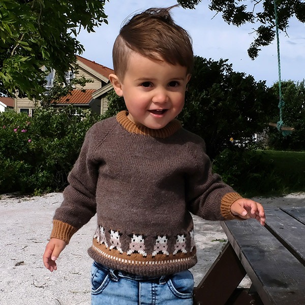 Strikkegenser Nysgjerrige kyr - garnpakke i Bluum Soft Merino Ull