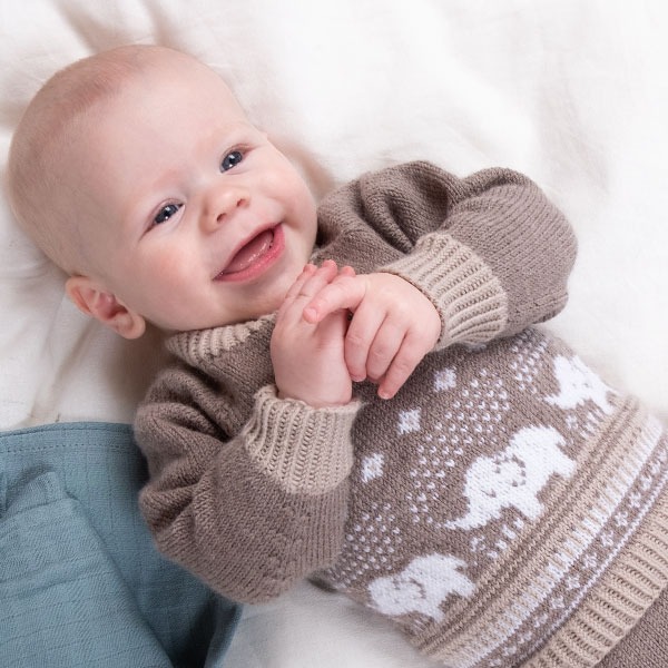Strikkegenser Elefantene bader - garnpakke i Bluum Soft Merino Ull