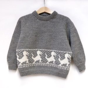 Strikkegenser Dinosaur - garnpakke i Bluum Pure Eco Baby Wool