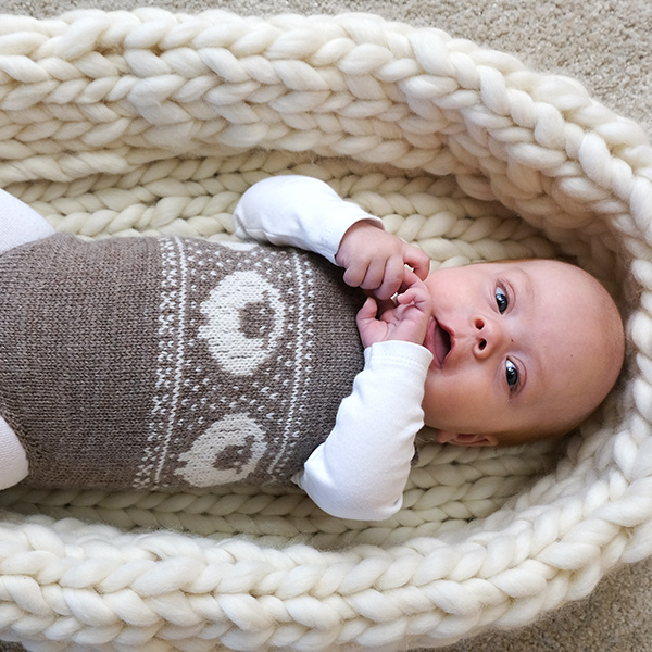 Strikkebodyer Sau og And 2 stk - garnpakke i Bluum Pure Eco Baby Wool